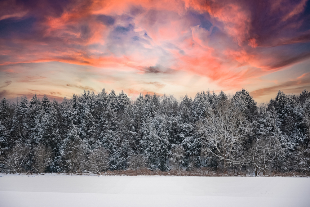Things to Do in New England: a winter forest in vermont at sunset