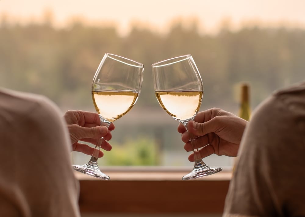 Couple toasting with wine at a Nashville Winery