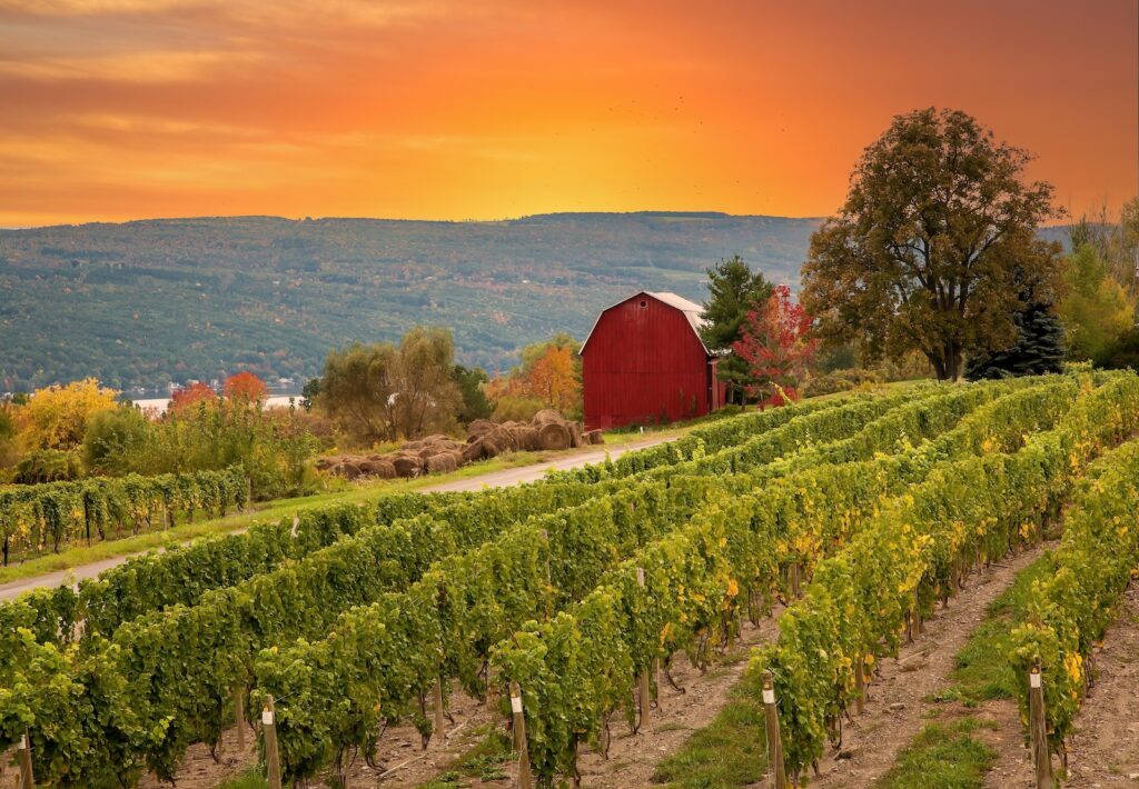 From Cayuga to Seneca Lake, explore the best Finger Lakes wineries and enjoy wine tours paired with a luxury boutique hotel stay. Photo: sunset over the vineyards