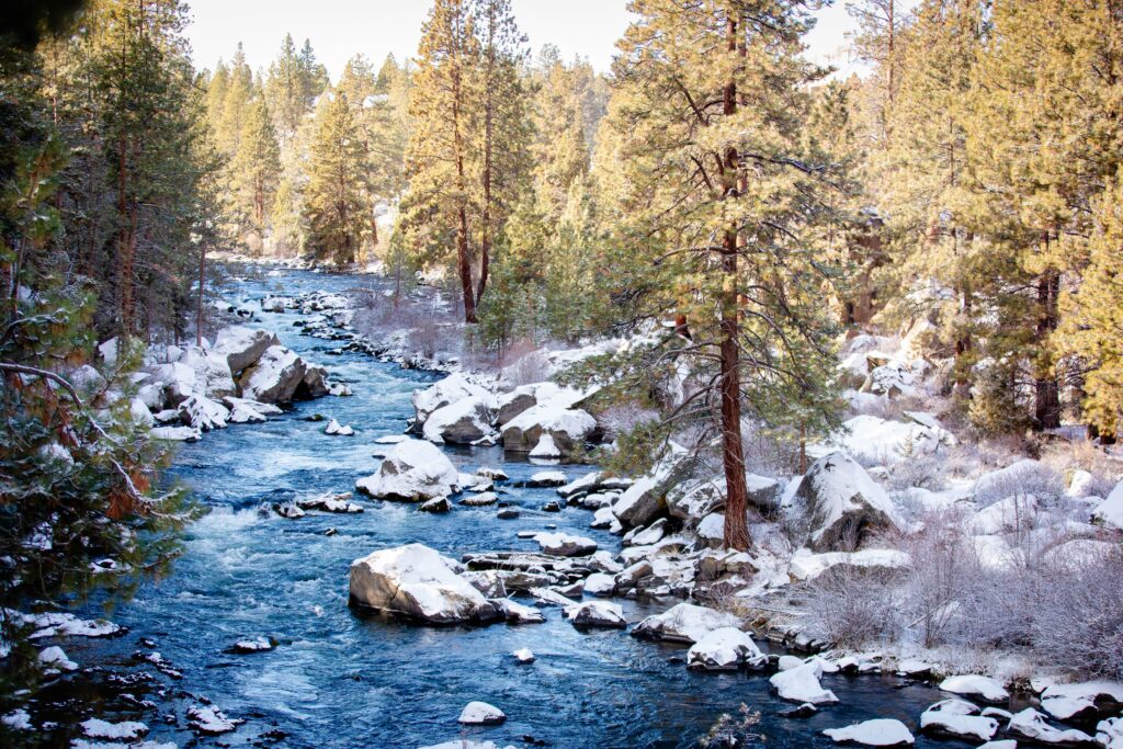 when exploring what to do in Bend this winter, the beautiful Deschutes River is always on the top of the list, a pretty winter scene with trees and the river in snow