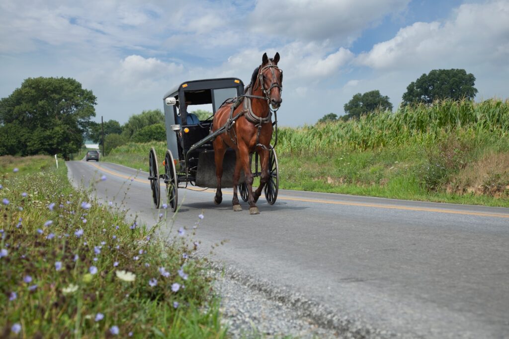 Amish buggy rolling down a rural road in one of the Best Amish towns in Pennsylvania