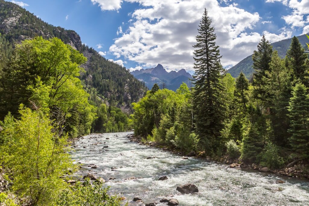 From summer adventure to cozy winter escapes, find the best time to visit Durango for your ideal Colorado getaway. This running river surrounded by mountains and trees is such a delight.