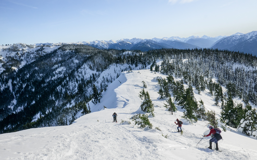 A group of people snowshoeing at Hurricane Ridge Washington