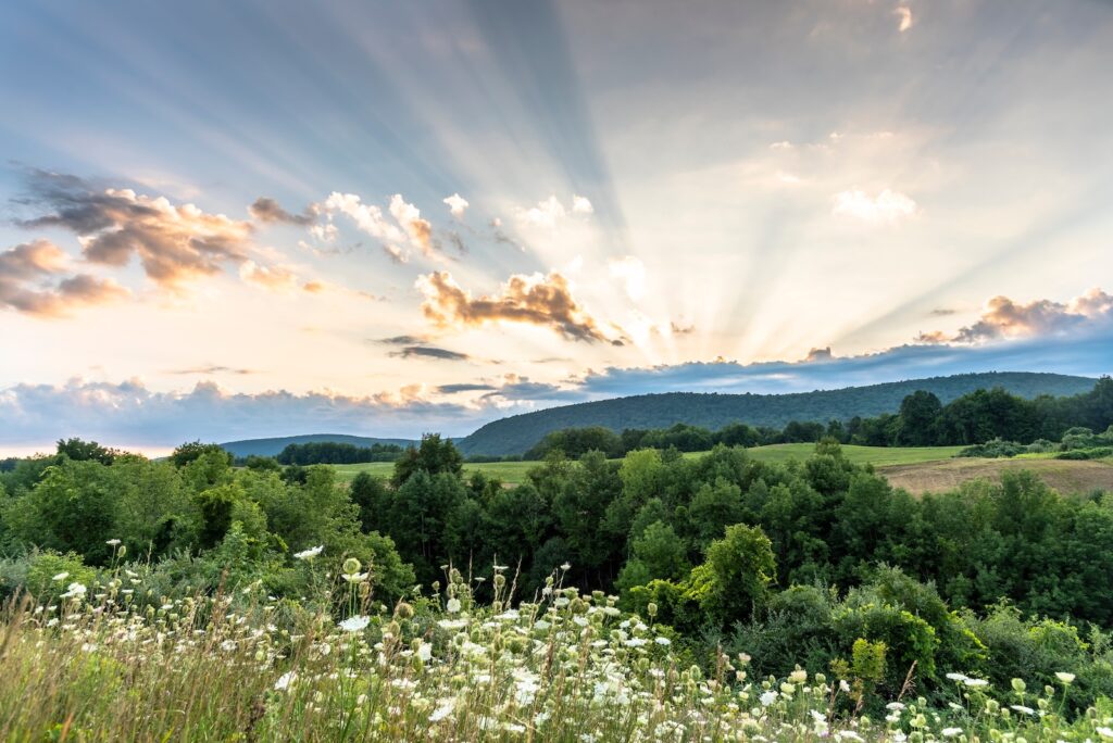 Rolling hills with clouds in the finger lakes of western New York, nature viewing is one of the best things to do in Finger Lakes NY