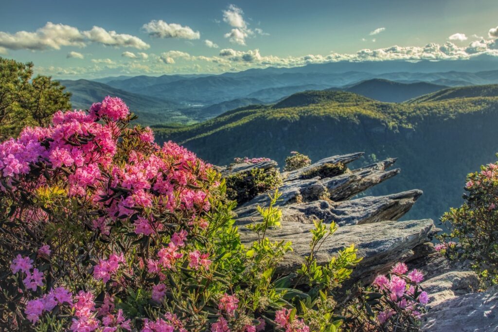 Gorgeous scenery to look forward to, as you learn about the best time to visit North Carolina