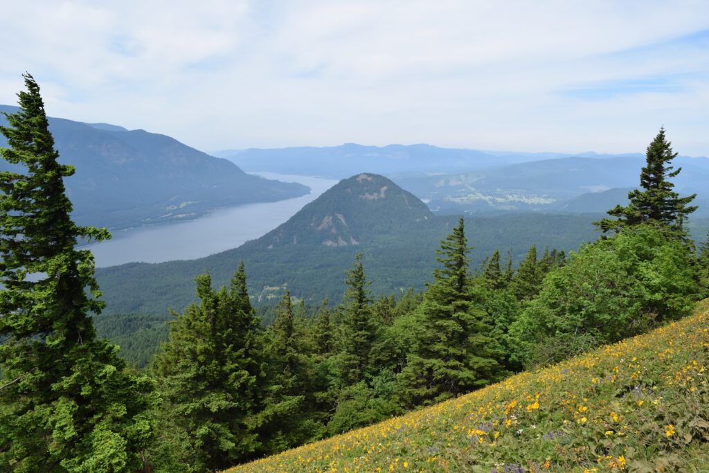 beautiful wildlflower scenery during your columbia gorge getaways this spring