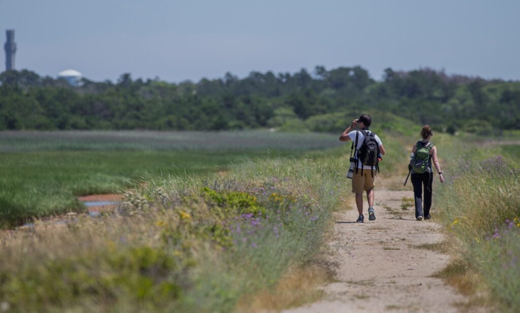 People hiking the Great Island Trail on Cape Cod