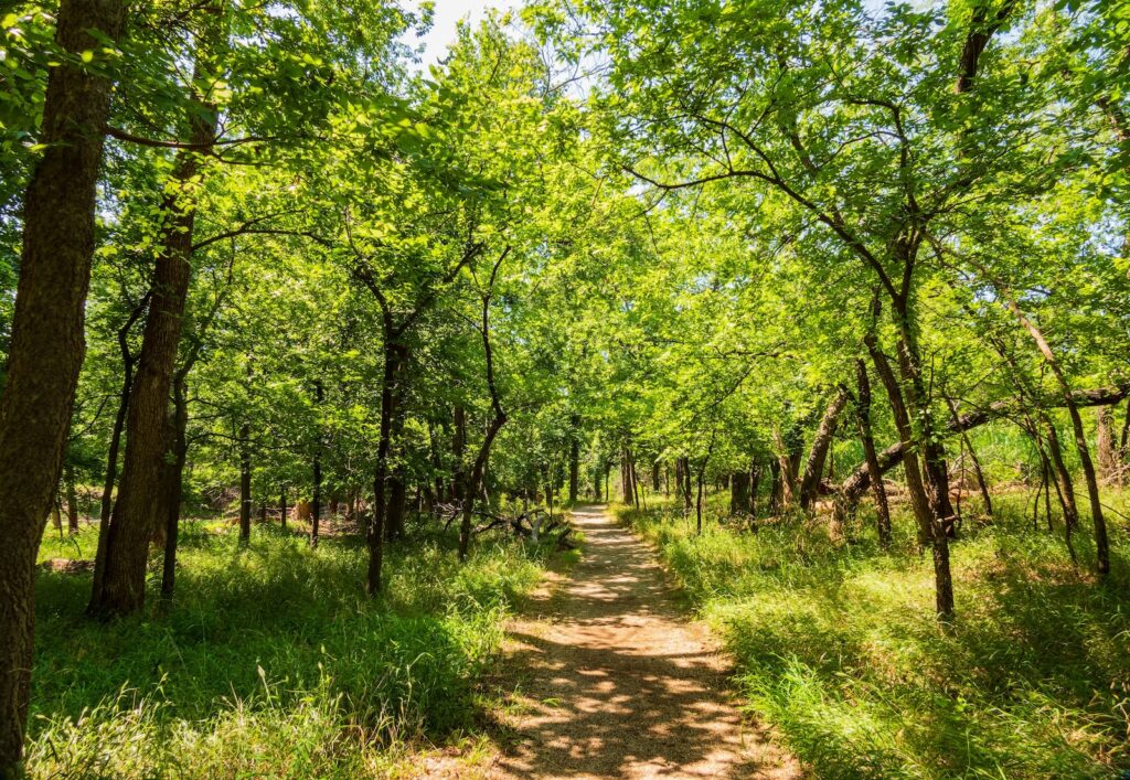 Take a Forested Walk at the Denison Pequotsepos Nature Center near Mystic, Connecticut