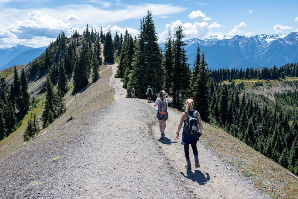 People hiking at Hurricane Ridge, one of the best Olympic National Park Hikes