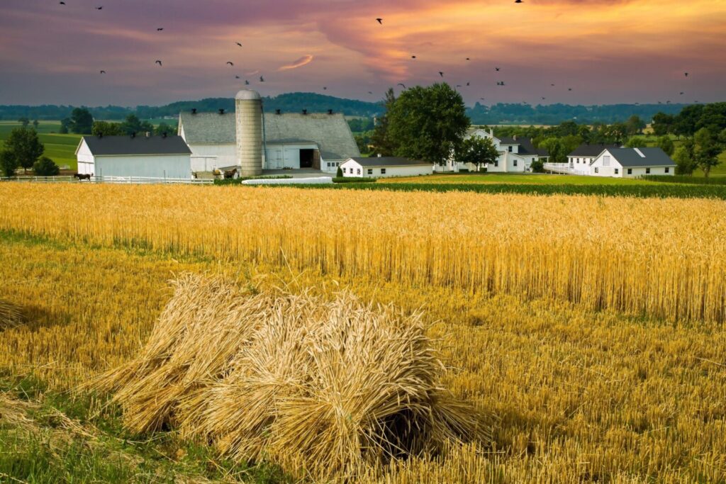 Explore the farms in Amish Country in Pennsylvania this year