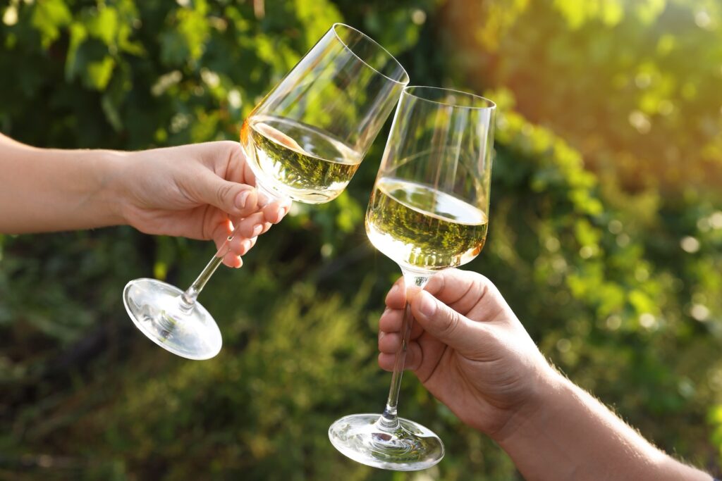 Couple clinking glasses of wine outdoors at Mount Hope Estate and Winery