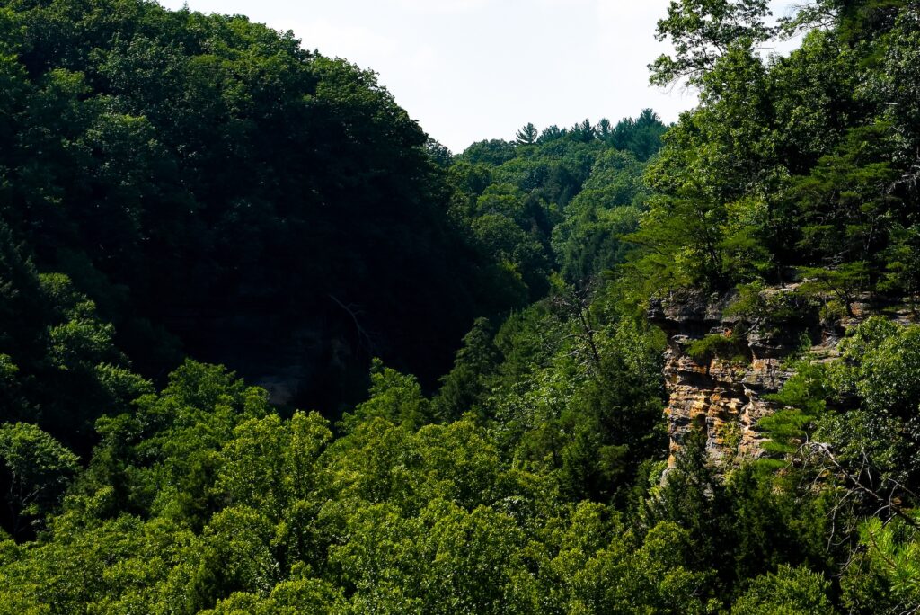 Conkles Hollow state nature preserve cliff overlook by Hocking Hills
