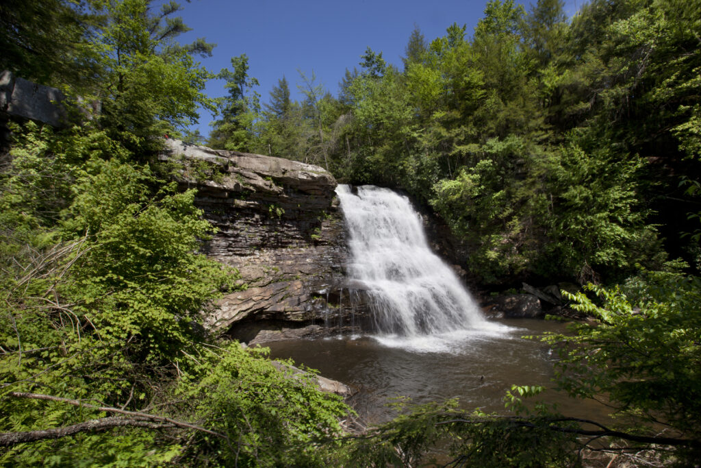 Muddy Creek Falls during the summer, surrounded by evergreen trees.