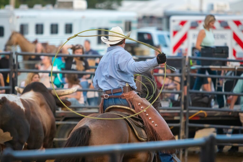 A cowboy riding a horse and trying to rope a bull during a rodeo in Durango.