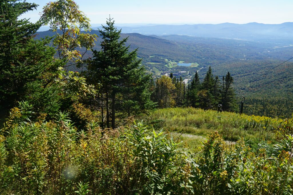 View from Mount Snow Bike Park