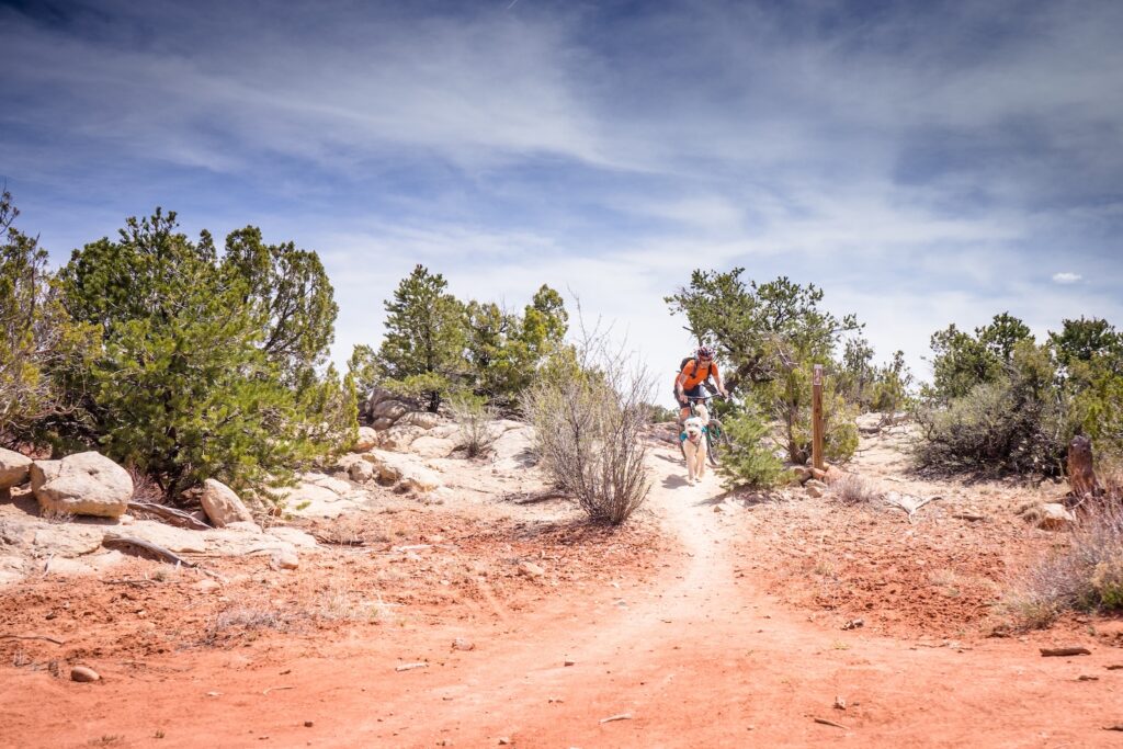 A man and a dog on one of the best mountain biking trails in Farmington, NM, with mountain views and desert terrain.