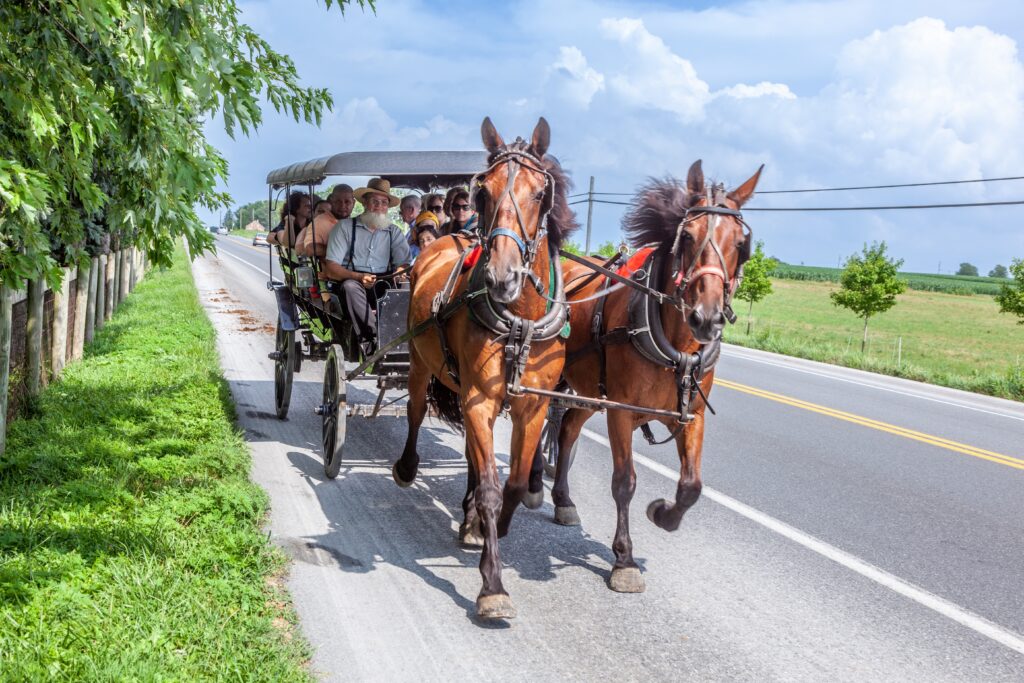 Take Amish Buggy Rides along country roads in Lancaster County.