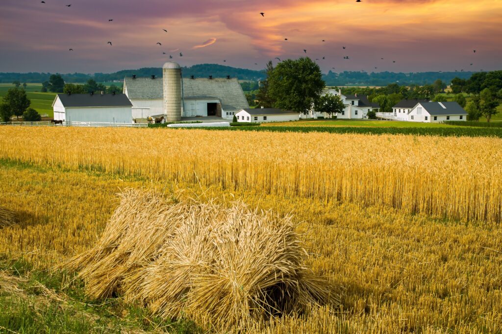 Amish Farm at twilight. Hay in the fields, white barn, windmill in the background. Visit Amish Country Pennsylvania