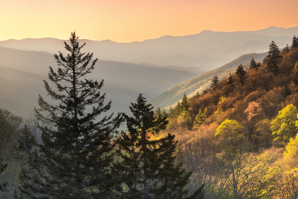 The Mountains to Sea Trail in NC
