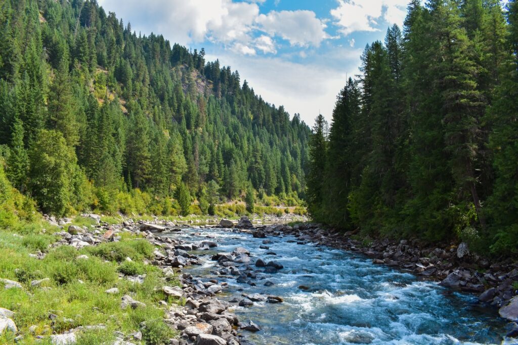 The Bitterroot River with mountains in the background in Montana, the setting for the Travelers Rest State Park.