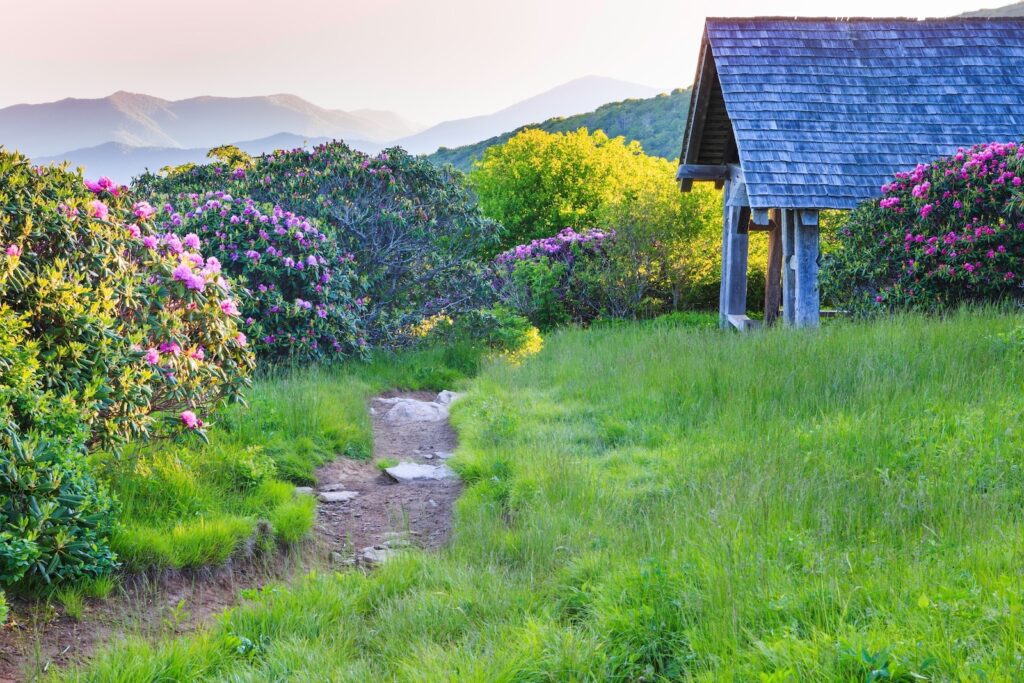 The Craggy Gardens Trail, a great hike on the blue ridge parkway near Asheville