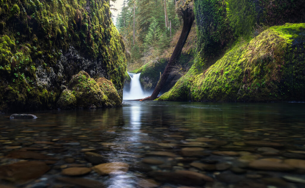 Punch Bowl Falls on Eagle Creek Trail in Oregon