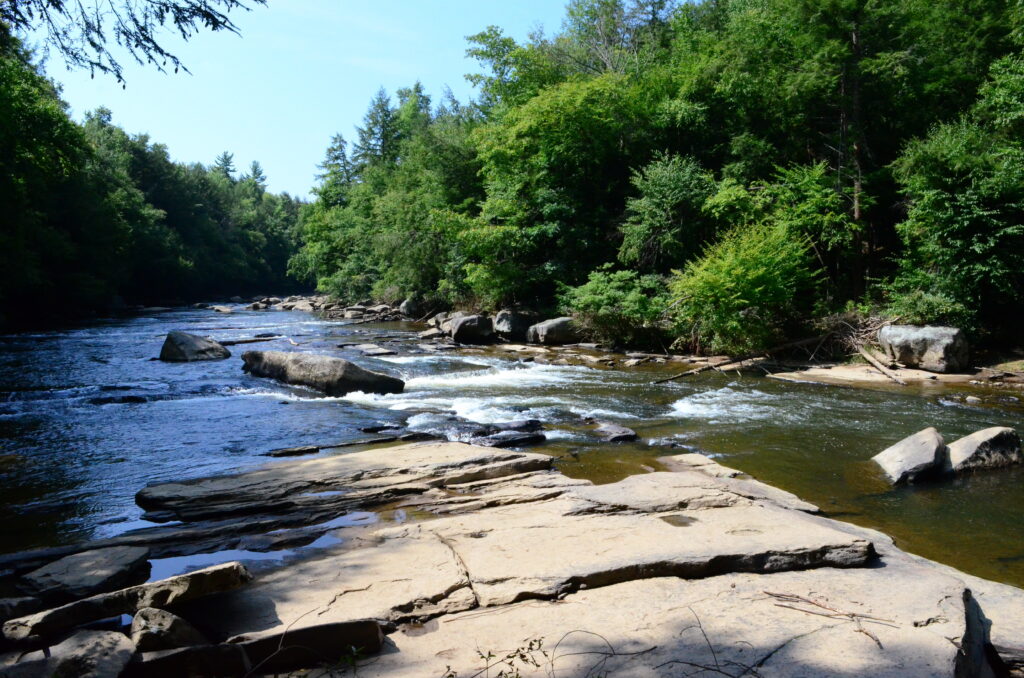 Hike the Savage River State Forest