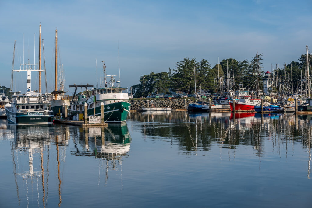 Boats in Humboldt Bay in Eureka. Sail past on Madaket Harbor Cruise