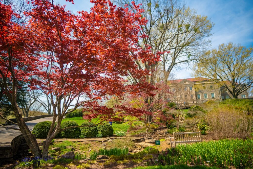 Cheekwood Estate and Gardens: Botanical Garden in Bloom. Nashville.