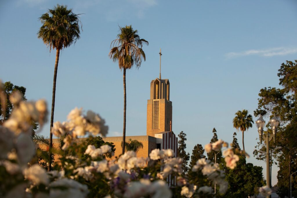Sunset palm framed view of the historic downtown Anaheim, California, USA. One of the best things to do in Anaheim!
