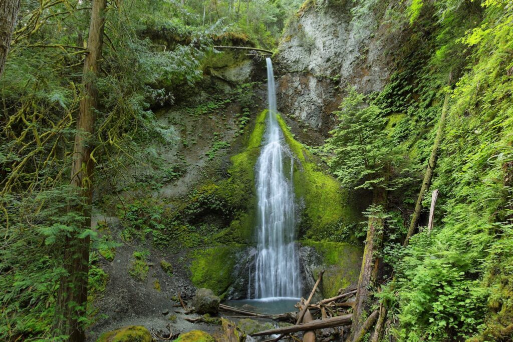 A waterfall cascading down rocks surrounded by bright green foliage at the Marymere Falls in Olympic National Park.