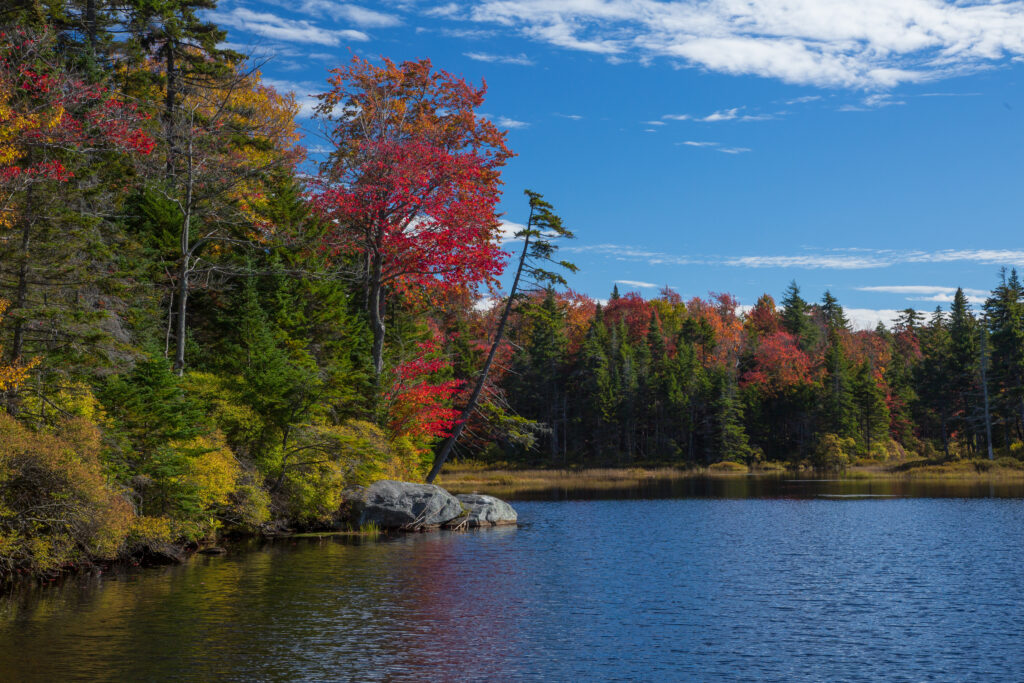 Fall Foliage beside pond on Molly Stark Scenic Byway in Southern Vermont