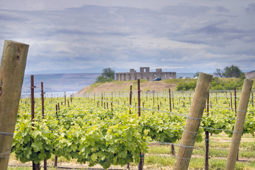 Maryhill Vineyard, one of the top Columbia River Wineries