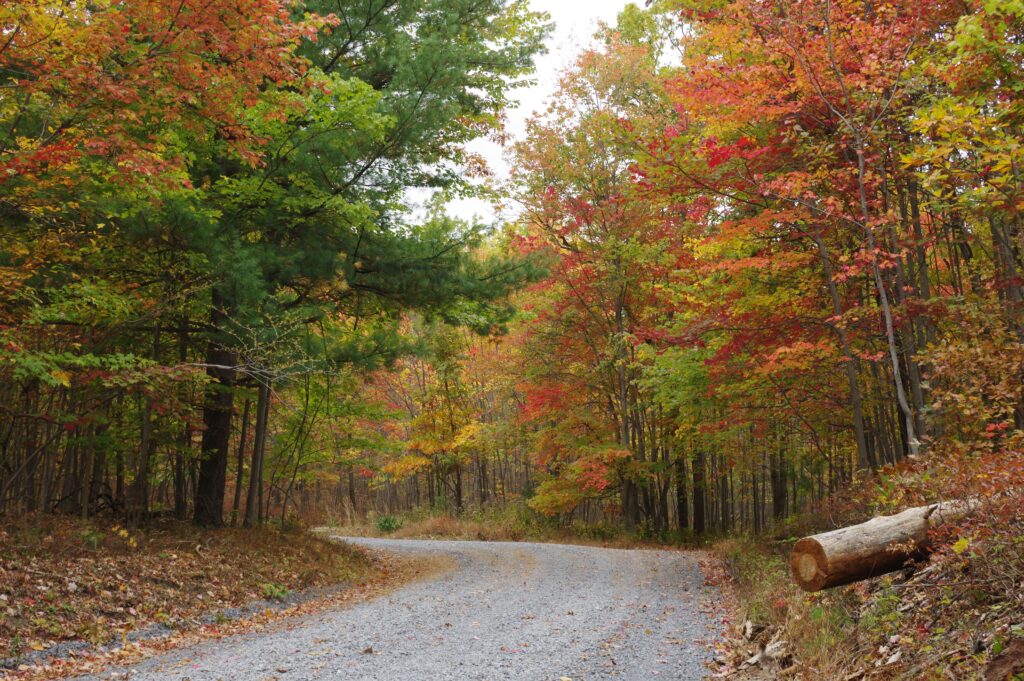 Fall colors on backroads on Maryland road trips