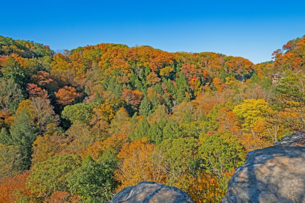 Autumn Colors Viewed From a Rocky Outcrop in Hocking Hills State Park in Ohio, head here to see the best Hocking Hills Fall Foliage