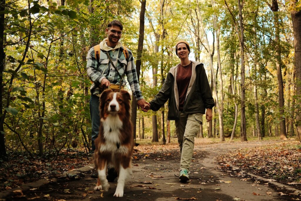 Dog-friendly trail walk with a couple and their Australian shepherd among fall trees