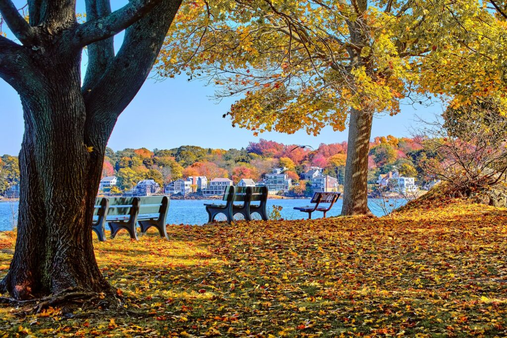 Benches by the water surrounded by fall foliage on Cape Cod in October.