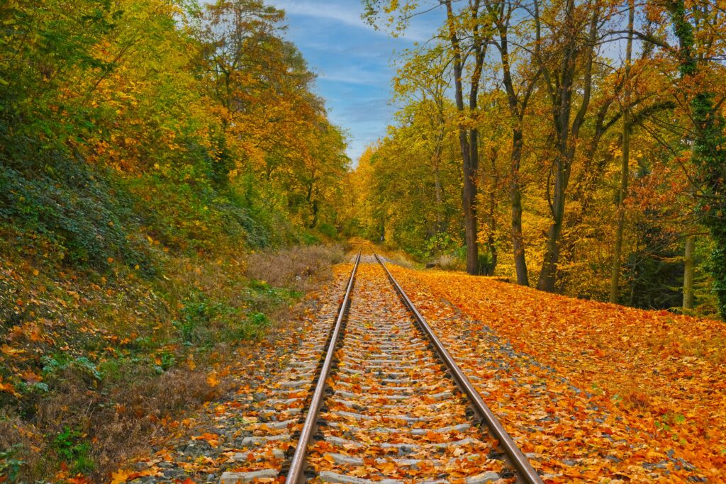 Duluth Fall Colors and train tracks